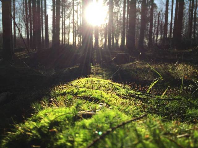 foto sewaktu golden hour pagi