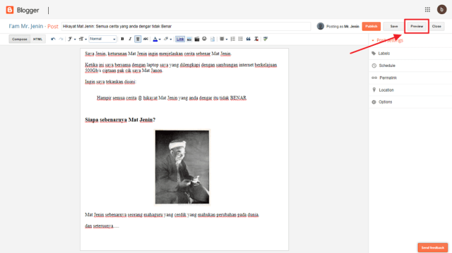 butang preview post
