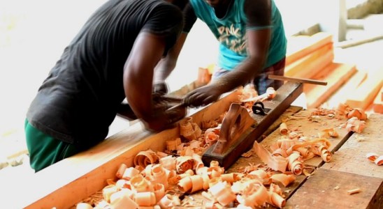 ketam kayu terbaik di malaysia