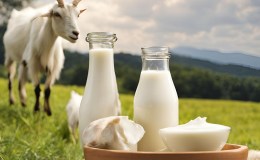 khasiat susu kambing untuk wanita hamil 2024