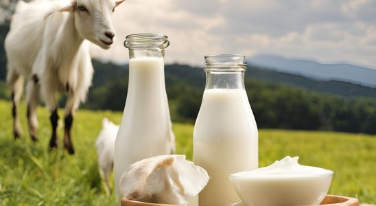 khasiat susu kambing untuk wanita hamil 2024